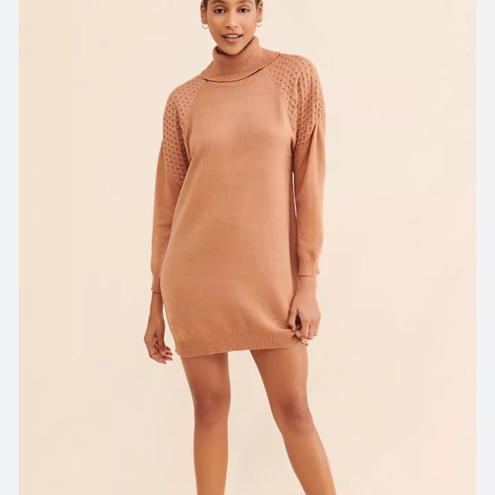 Bb dakota little wing mini sweater dress